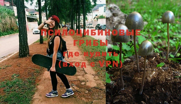 метадон Верея