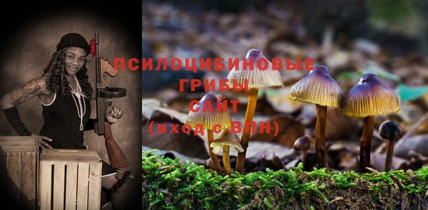 метадон Верея